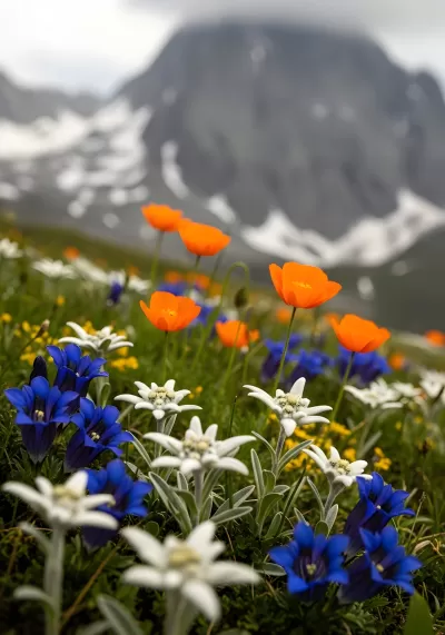 Imagen PNG para descargar